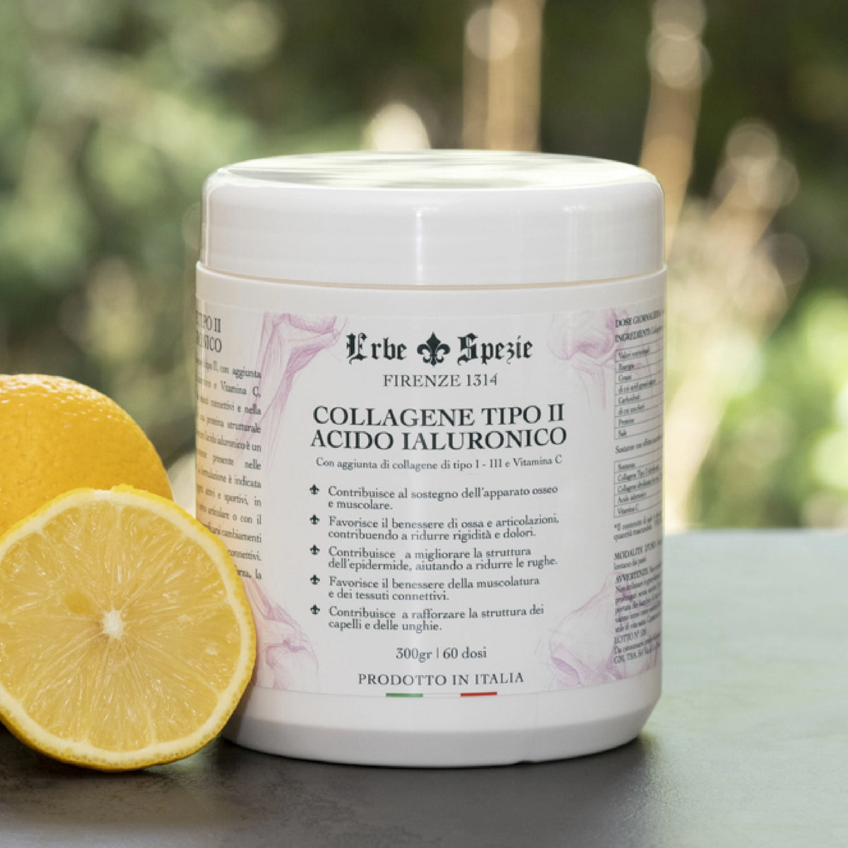 COLLAGENE TIPO II