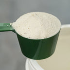 COLLAGENE TIPO II