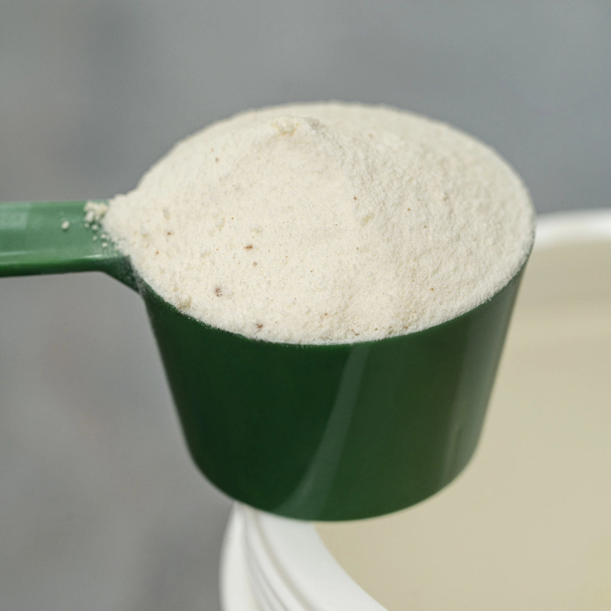 COLLAGENE TIPO II