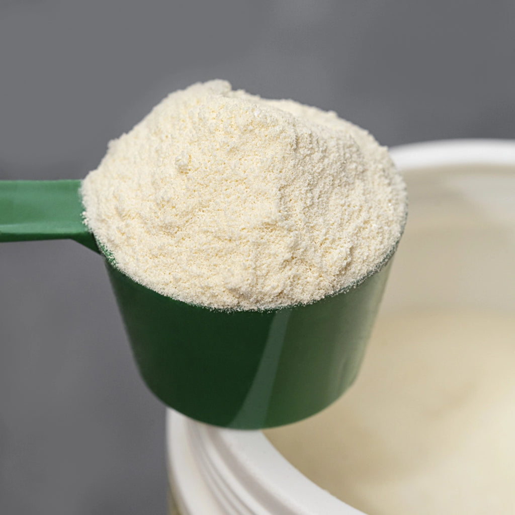 WHEY PROTEIN CREMA FIORENTINA