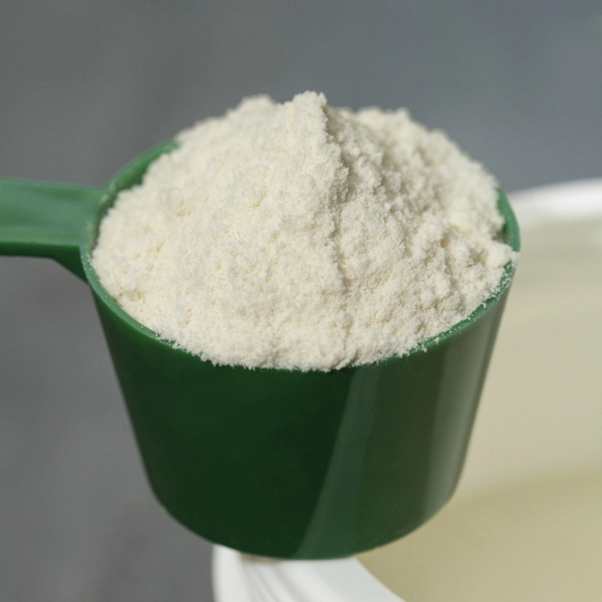WHEY PROTEIN LATTE