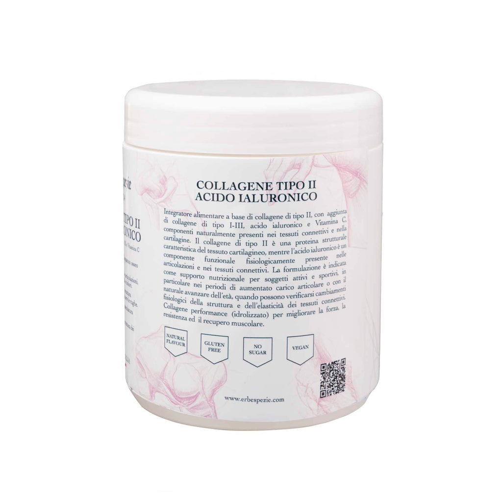 COLLAGENE TIPO II ACIDO IALURONICO