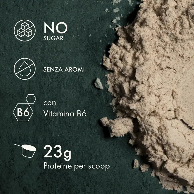 VEGAN PROTEIN ORZO