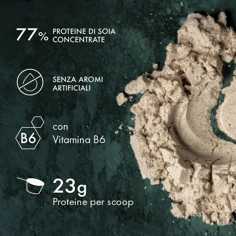 VEGAN PROTEIN VANIGLIA E CIOCCOLATO