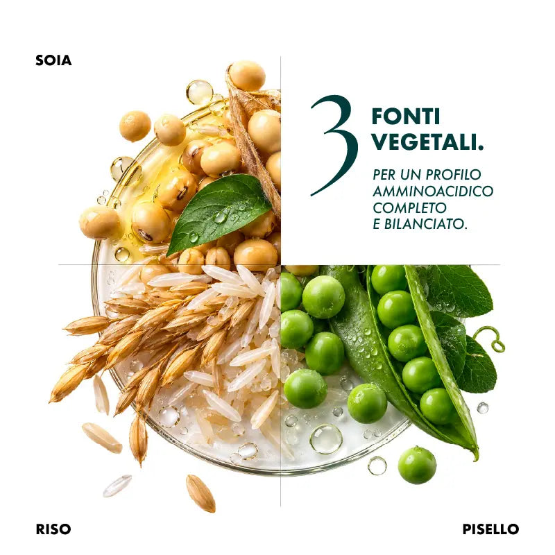 VEGAN PROTEIN ORZO